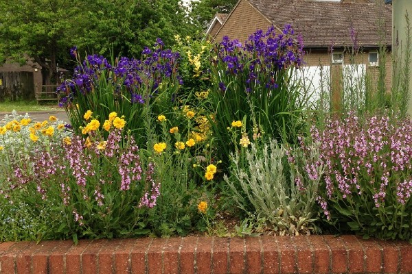 Flowers outside Oundle Surgery